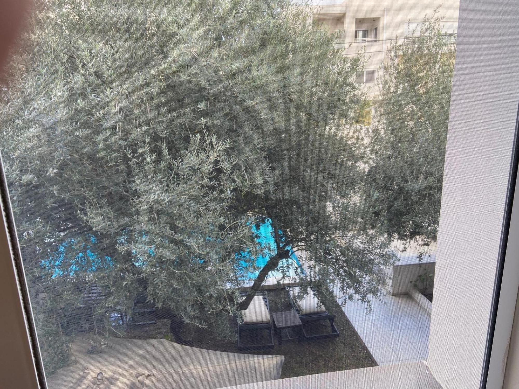 Dar Misk Sukrah Exterior foto